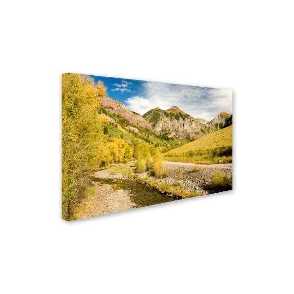 Michael Blanchette Photography 'Aspen Yellows' Canvas Art,16x24